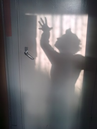 Doors Shadow
